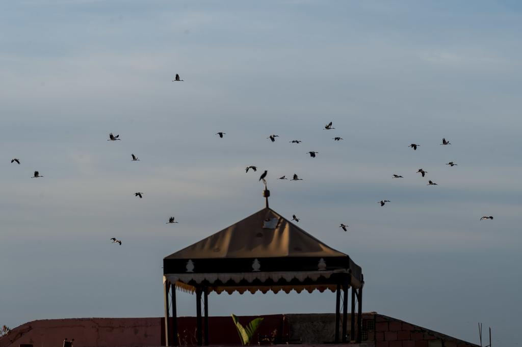 Riad Hiba Meknès Dış mekan fotoğraf